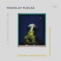 Miroslav Pudlak - A Winged Creature